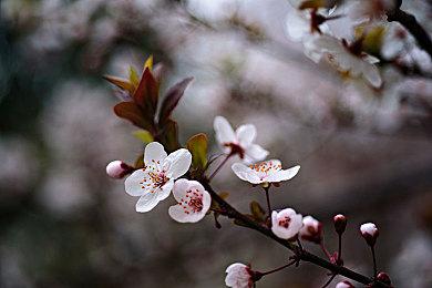 《狼奔豕突2：消失的信号》跳票到2023年